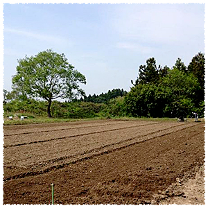 土が残っている image