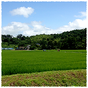 海だけではない魅力を伝える image