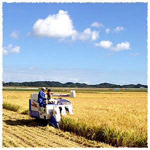 地域での受け入れ image